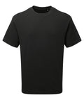 Anthem heavyweight t-shirt